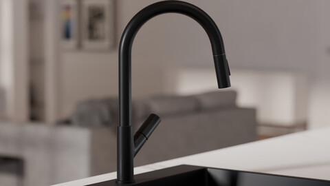 Kitchen mixer tap with pull-out spout and 2 spray types Primagran® 9600