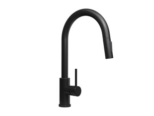 Kitchen mixer tap with pull-out spout and 2 spray types Primagran® 9600