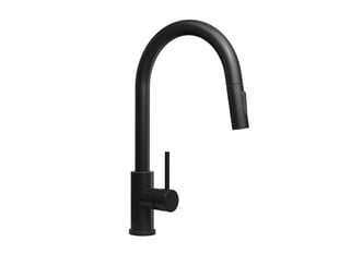 Kitchen mixer tap with pull-out spout and 2 spray types Primagran® 901