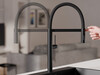 Kitchen mixer tap with flexible spout and 2 spray types Primagran® 7010