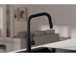 Kitchen mixer tap with pull-out spout and 2 spray types Primagran® 9070