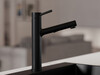 Kitchen mixer tap with pull-out spout and 2 spray types Primagran® 2010