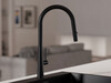 Kitchen mixer tap with pull-out spout and 2 spray types Primagran® 9090
