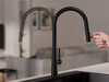 Kitchen mixer tap with pull-out spout and 2 spray types Primagran® 9090
