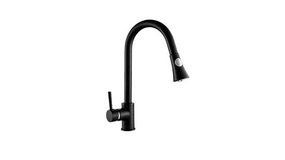 Taps with a pull-out spray